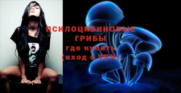 дурь Мегион