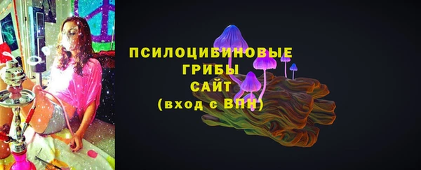 мдма Медвежьегорск