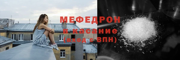 сатива Няндома