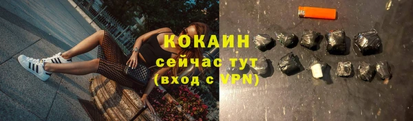 дурь Мегион